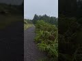 스코틀랜드 웨스트 하이랜드 웨이 트레킹 4일차 : Inverarnan - Bridge of Orchy 3