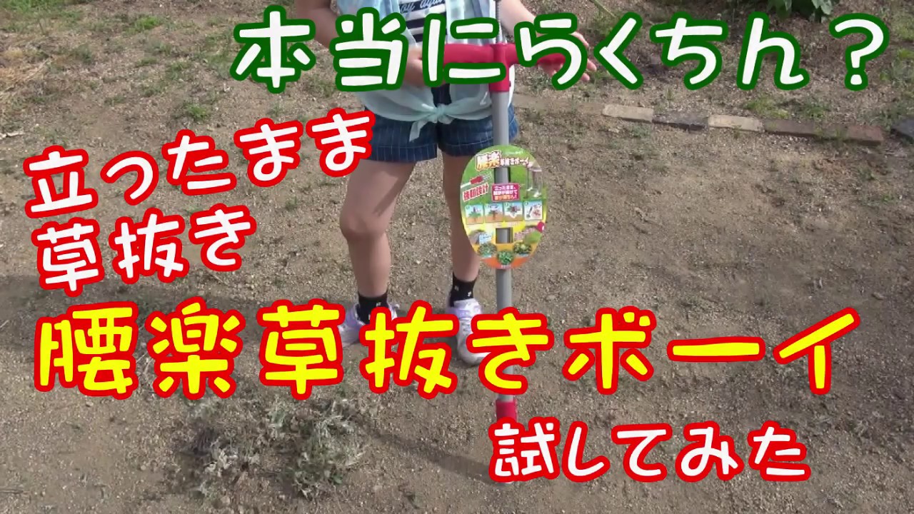 立ったまま楽ちん雑草抜き 腰楽草抜きボーイを試してみる Youtube 立ったまま楽ちん雑草抜き 腰楽草抜きボーイを試してみる Youtube