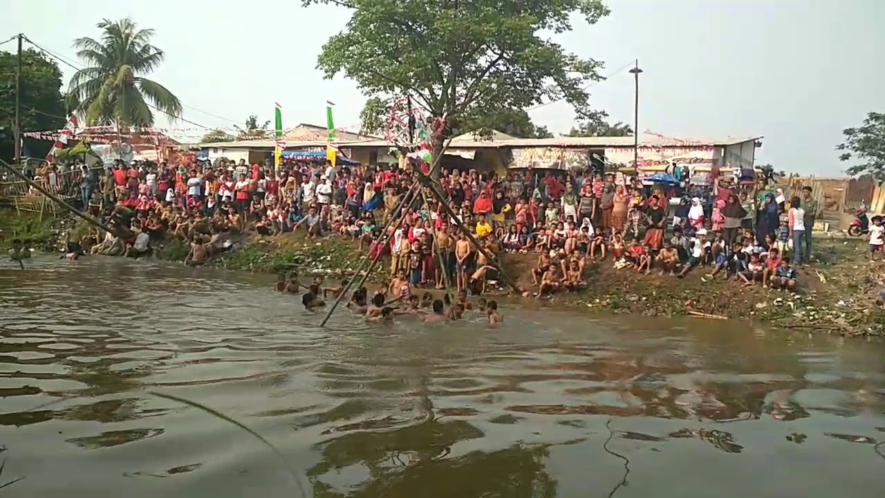 Lomba Panjat Pinang Hadiah Janda Ngakak Abis Youtube