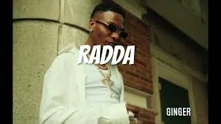 WIZKID  X  AYRA STARR   X KIZZ DANIEL X REMA FT Naira marley FT  Afro type beat 2026 rnb(RADDA!)