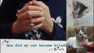 #قصة كيف اصبح قطي اعمى ؟ "ديبوس في حاجة إلى عملية "💔 ||? How did my cat become blind #بودكاست 🧶🐱✨