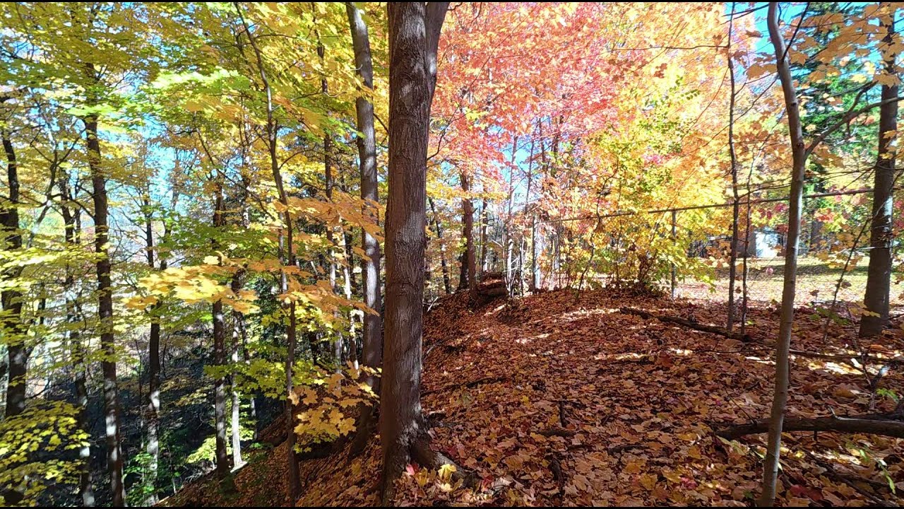 Toronto Greenspace Walk Oct 26 2025
