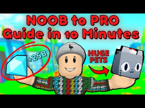 NOOB to PRO Guide in 10 Minutes! Roblox Pet Simulator X