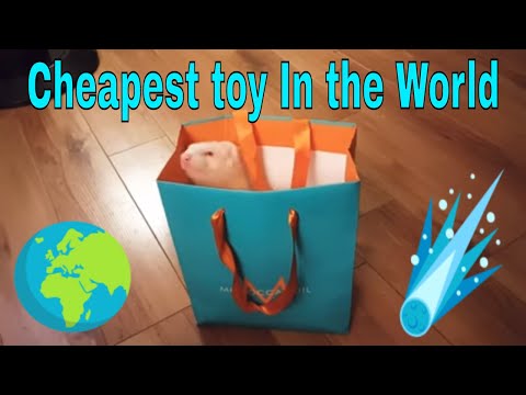 the cheapest toy in the world