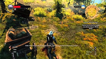 The Witcher 3 audio glitch