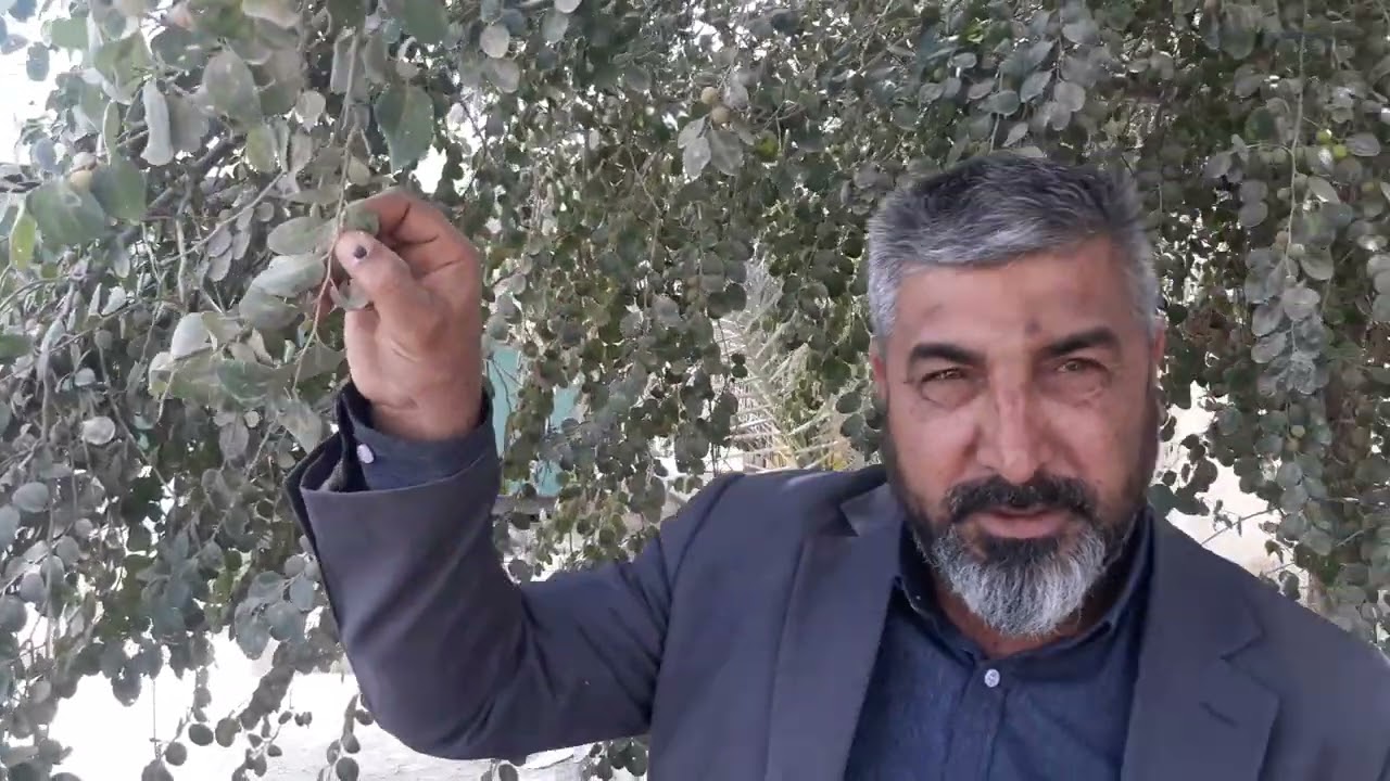 قطع عرق النسا ...واتساب 07812992501