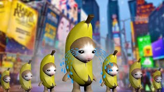 Crying Banana Cat Run New York Street Over 1000000 Time
