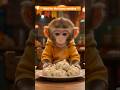 Cutest Monkey Eating Dumplings! monkey comedy videos monkey funny videos for kids #shorts