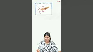 1 Biology Sure Diagram Question Plus One Zoology Christmas Exam Aegon