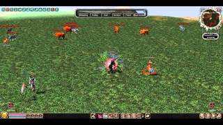 metin 2 Hammer test dmg By FiG0S
