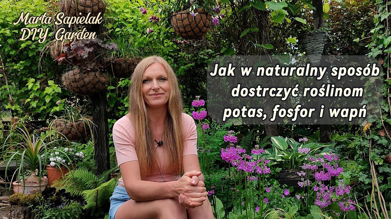 Popiół drzewny  - Naturalne źródło potasu, fosforu i wapnia oraz skorupki jaj bogate źródło wapnia.