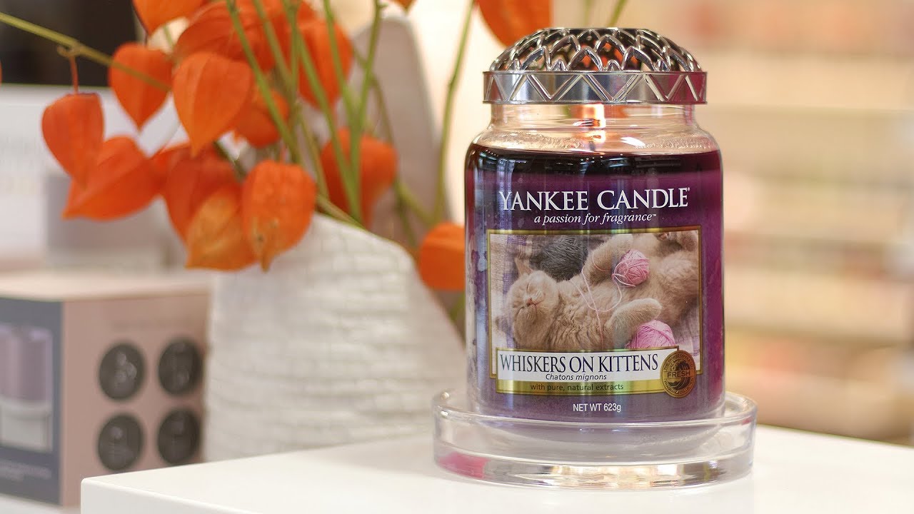 Svíčka Yankee Candle s vůní Whiskers on Kittens