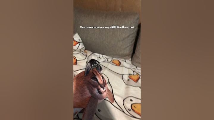 Не удивлюсь если рекомендации будет заполнено этим #школа #скорошкола #саняабобус #россия #блоптоп🥲