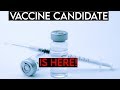 🔴 LIVE - Stock Market is Hugely Up on News of a Potential Vaccine! (Moderna Stock)