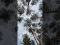 POV: you looked up and forgot everything