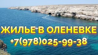 Аренда жилья Оленевка Крым база отдыха Дельфин +7978-025-99-38