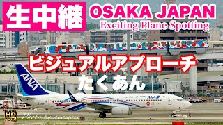 🔴 LIVE OSAKA ITAMI Airport 2025/6/7 大阪伊丹空港   ライブカメラ