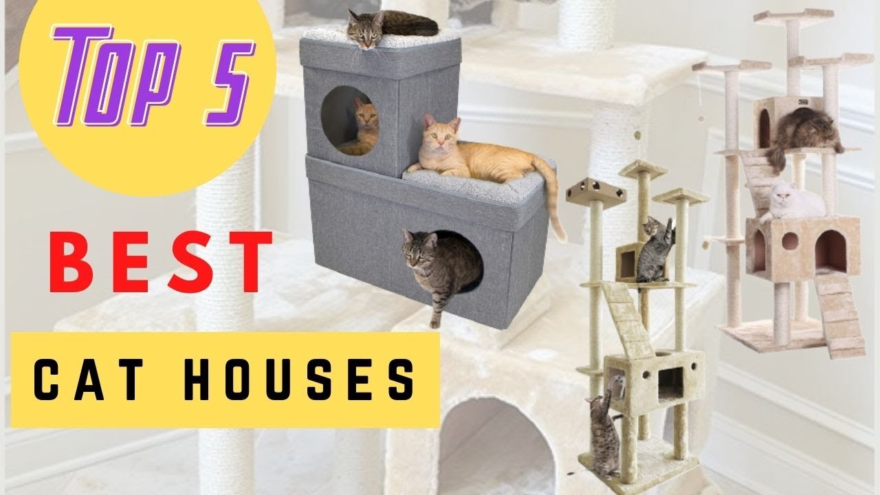 5 Best Cat Houses ( Buying Guide ) YouTube