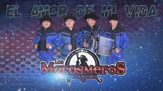 Video thumbnail of "El Amor De Mi Vida - Los Meros Meros de la Sierra 2019"