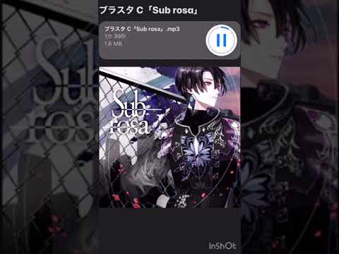 ブラスタ Team C 「Sub rosa」 game size.