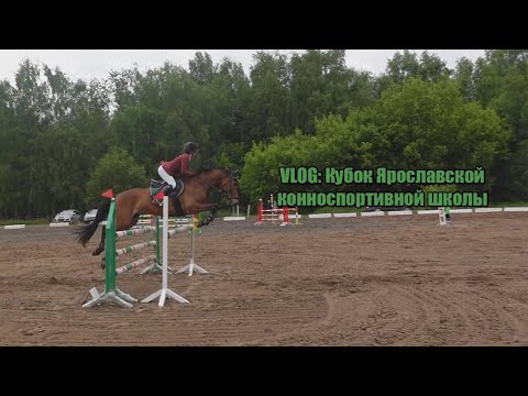 Видео: VLOG: Кубок Ярославской конноспортивной школы