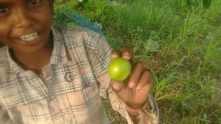 My Village Is Sipmal