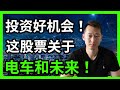 美元指數的秘密！？特斯拉/蔚來等電車的發展需要這支股票相助？一支家大業大但被低估的股票！【美股/投资/经济/2月必投/低估/美国股市崩盘？/风险对冲】