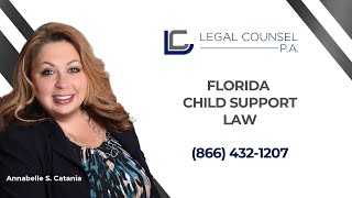 Florida Child Support Law Questions