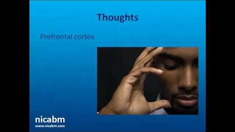 Empathy and Brain Plasticity with Rick Hanson