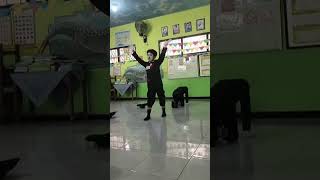 FLS3N Pantomi kls 5  2206