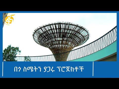 tበጎ ስሜትን ያጋሩ ፕሮጀክቶች