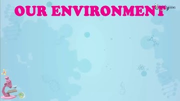 CHAPTER-16  OF CLASS-3  II  OUR ENVIRONMENT  II  ESSENTIAL SCIENCE IRISH.