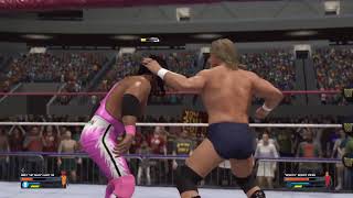 Rowdy Roddy Piper vs. Bret 'The Hitman' Hart (WWE Intercontinental Championship)