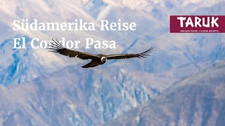 Südamerika-Reise: El Condor Pasa - Andenwelt der Inkas, Patagonien & Iguazú Wasserfälle | Filmbuch