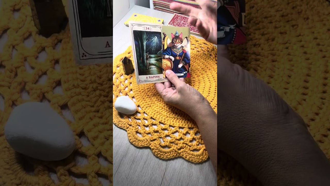 Signo de Capricórnio Novembro de 2025!