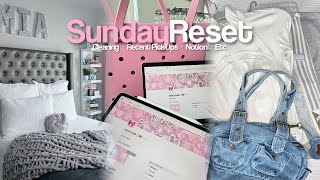 My Productive Sunday Reset|WEEKLY VLOG|Cleaning,Recent Pick-Ups,Notion,etc|THEMIAAMARI