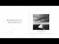 Denis Stelmakh - Belonging IV (Felo De Se) (The Nowhere Deluxe Edition)