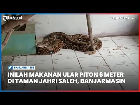 Vetnam massaji va jinsiy aloqa Aka-uka bilan kattalar porno