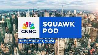 Squawk Pod: M&A deals halted, 2025 deals on, & gauging the tariff pinch - 12/11/24 | Audio Only Profile