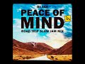 Peace of Mind Vol 49 | Road Trip | Slow Jam Mix | DJ Ace ♠️