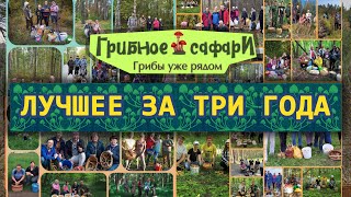 "Грибное_сафари" подборка с видео и фото за три года! Грибной поход лучшее.