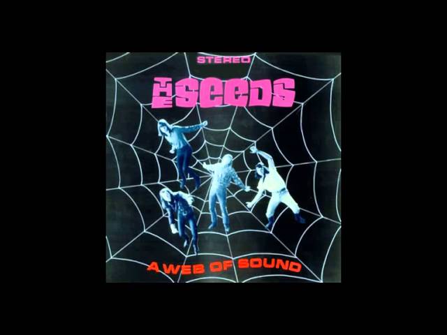 The Seeds - A Web Of Sound (1967) Full Album - YouTube