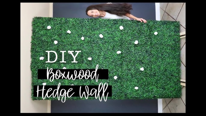 DIY : LV Grass Wall Under $100