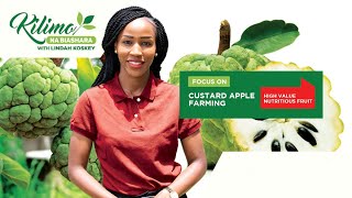 Focus on Custard Apple Farming | Kilimo na Biashara