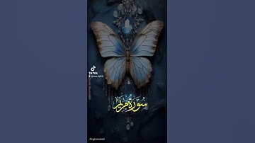 سورة مريم #quran #اكسبلور #القزابري #تيك_توك #دويتو #المصحف #صباح_الخير #لايك #الرحمن #حالات_واتس