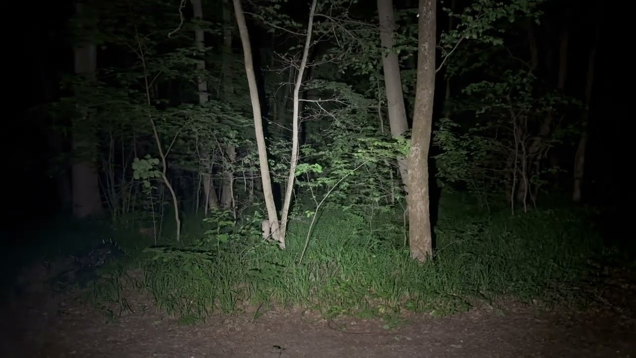 Xhp50.3 r70 vs xhp50.3 r9050