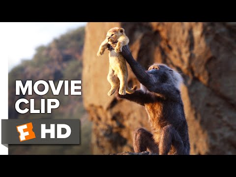 The Lion King Movie Clip - Circle of Life (2019) | Movieclips Trailers