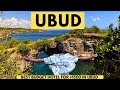 Ubud Hotel Stay in ₹1500 Only! Bike Rental, Currency Exchange, Places To Visit | Bali Trip 2023