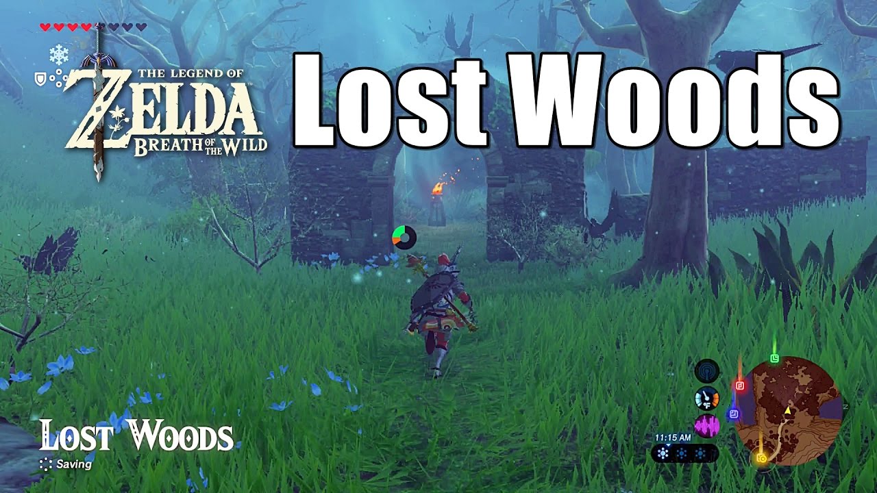 How To Get Through The Lost Woods In Zelda Breath Of The Wild - Youtube