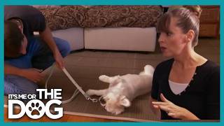 Harsh Punishment Nearly Breaks This Dog | It's Me or the Dog